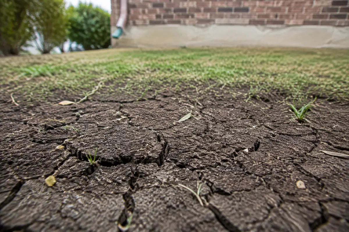 Close view of clay soil beside a home, illustrative image