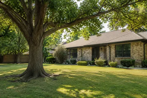Mature tree growing in the yard near a brick house, illustrative image
