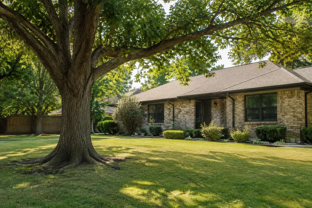 Mature tree growing in the yard near a brick house, illustrative image