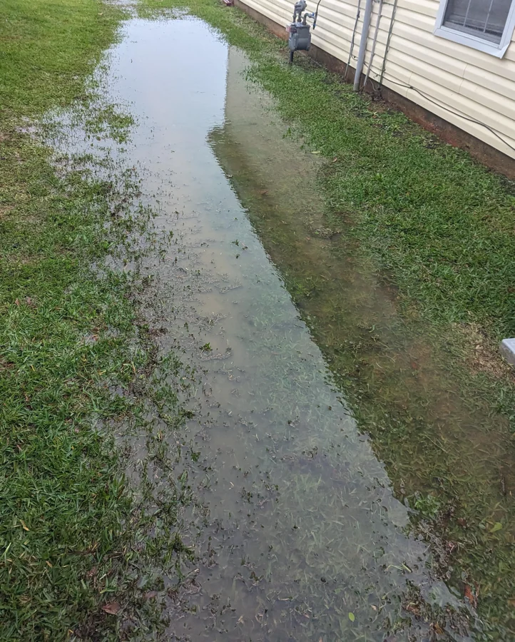 Water collecting in a residential yard